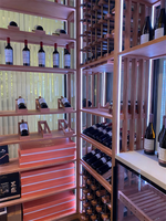 Réfrigérateur à vin en acier inoxydable moderne pour la maison, personnalisable, capacité de 300 bouteilles, armoire à vin thermoélectrique de 34 bouteilles