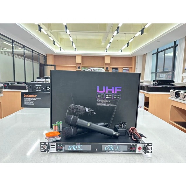 U30 Wireless Karaoke Microphone Dual Channel Wireless Mic for Performance