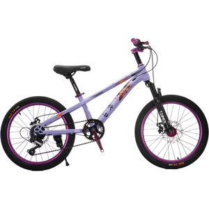 Vélos de montagne pour enfants pour filles et garçons âgés de 7 à 15 ans pour les élèves du primaire avec des styles de princesse pour les enfants plus âgés - Product Image 3