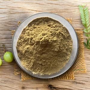 Gesundheits wesen Pflanzen pulver Phyllanthus Emblica Pulver - Product Image 6