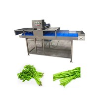 Machine à éplucher les poireaux et les ciboules à air comprimé de qualité supérieure, prête à l'exportation