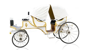 Transport spécial pour le tourisme et les visites touristiques, calèche - Product Image 3