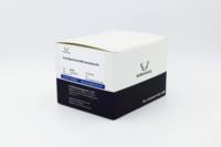 Kit d'extraction d'ADN de taches sanguines EP009-200T pour la recherche