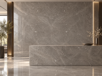 Dalles de marbre gris Maya en pierre naturelle pour plateaux de table basse, meubles de salle de bain, panneaux de cheminée, marches d'escalier, étagères et carreaux de sol