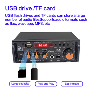 Dual Channel không dây hệ thống thu âm thanh rạp hát tại nhà khuếch đại công suất với USB AUX Mic và <span class=keywords><strong>echo</strong></span> đài phát thanh kết nối có dây - Product Image 6