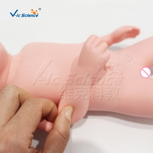 Un modèle médical réaliste pour l'entraînement infirmier peut être utilisé comme modèle de bébé avec un os pelvien. - Product Image 3