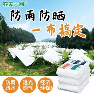 Tela Impermeable Nfyp-022 de 0.6m-6.1m, Tela No Tejida para Protección de Árboles de Ciruelo y Cerezo - Product Image 3