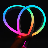 LED fleksibel lampu Neon silikon murni Strip 6*12 / 8*16 papan iklan Strip cahaya lembut tegangan rendah untuk penggunaan luar ruangan