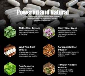 गर्म बिक्री वयस्क पुरुष वृद्धि हर्बल गोलियां ऊर्जा परीक्षण बूस्टर कैप्सूल प्रजनन क्षमता 60 - Product Image 3