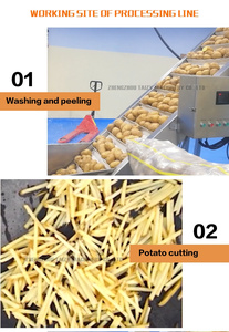 Linea di Produzione Automatica per Patatine Fritte Surgelate e Semi-Fritte, 500kg all'Ora, Miglior Prezzo - Product Image 4
