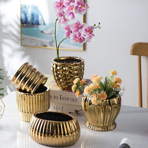 Maceta Moderna de Cerámica para Piso, Galvanizada en Oro, Capacidad de 1-3L, No se Deforma Fácilmente, para Suculentas, Orquídeas y Plantas de Interior - Product Image 1