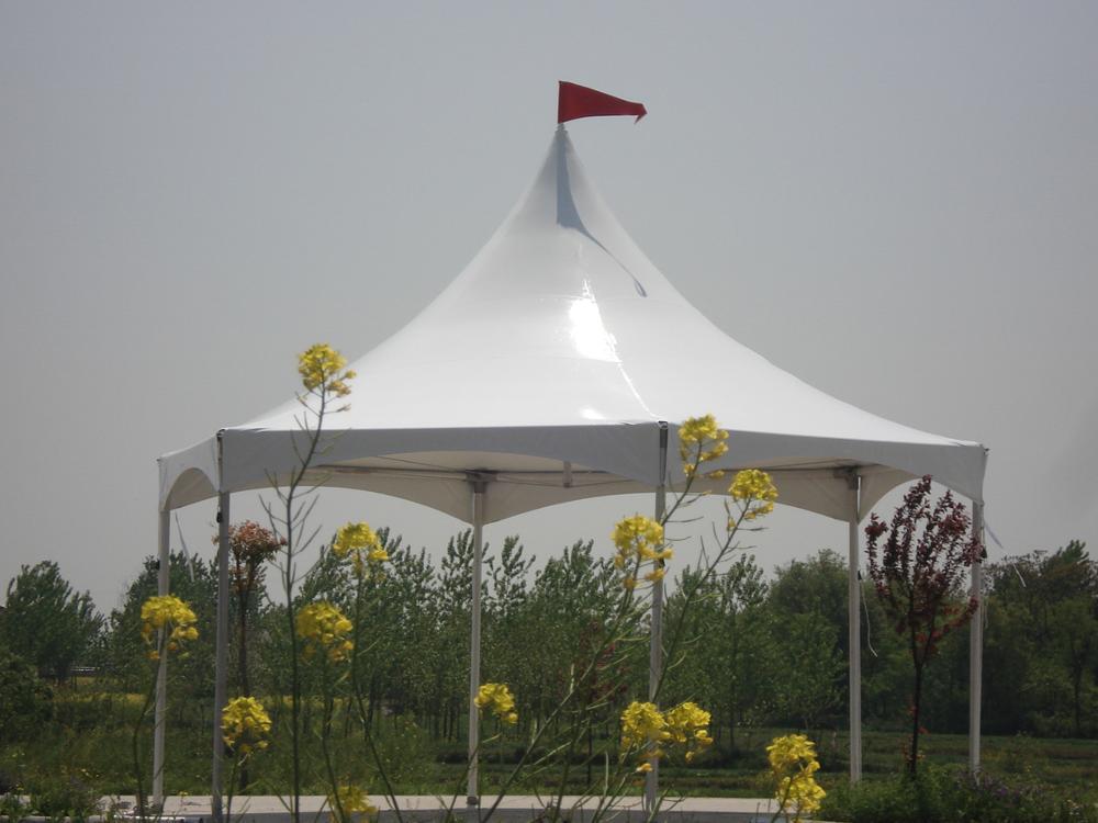 30*25 Promotion Événement PVC Tente Chapiteau Tente Auvent Extérieur