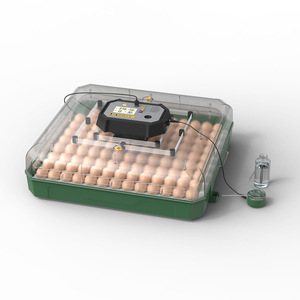 Incubadora de Huevos Automática de Doble Potencia 220V/110V/12V, Capacidad para <span class=keywords><strong>116</strong></span> Huevos, Máquina para Incubar Pollos - Product Image 1