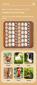 Wonegg New Thổ Nhĩ Kỳ Vịt Chim Cút Lồng Ấp 100 Trứng Lồng Ấp Khay Trứng Tự Chế Lồng Ấp Cho Trứng - Product Image 5