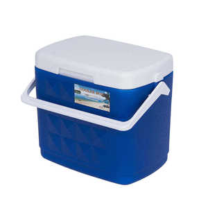 Mini-Kühlbox mit Klappdeckel, kleine tragbare Isolierbox für die Frischhaltung, Großhandel, B2B-Beschaffung - Product Image 4