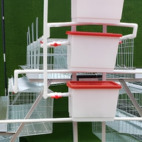 Système d'équipement galvanisé pour l'élevage avicole en gros : Cage à batterie pour poules pondeuses à vendre