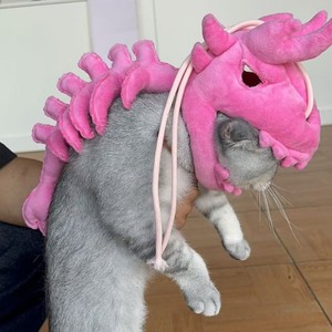Großhandel Graues Dinosaurier-Skelett Plüschtier Kreatives Haustier-Kostüm Verstellbarer Riemen Hunde- und Katzen-Cosplay-Kopfbedeckung Halloween-Party-Outfit - Product Image 4