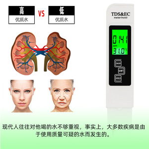 TDS EC Water Quality <b>Tester</b> Pen 31x152mm Backlit Display With Temperature Measurement For Water Analysis - Product Image 5