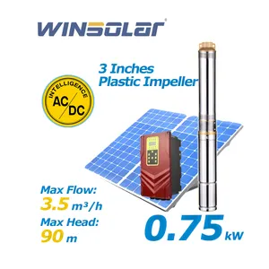 WINSOLAR глубокий колодец 220 В 120 В 110 В 110 В 110 В Ac Dc погружной 3 Солнечный водяной насос