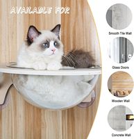 Lit-caverne pour chat moderne et mignon en acrylique et bois, avec housse amovible, design rectangulaire, emballé en carton directement de l'usine