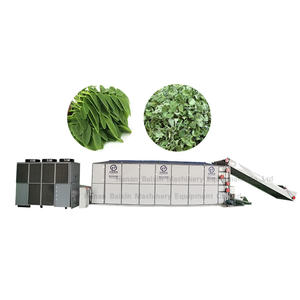 Exportación de calidad laboratorio sésamo jengibre comida pulpo transportador secador nuevo diseño - Product Image 5