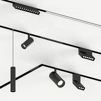Lampes à rail magnétique LED intelligentes 48V, système de rail en aluminium, mini spot 20mm, 3W-20W, CRI élevé 90, garantie 5 ans, salon