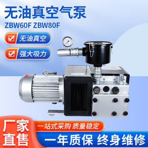 Pompe à vide Isge Zbw60f80f 22 L/min électrique pour machines d'impression offset, corps en fonte et acier inoxydable - Product Image 5