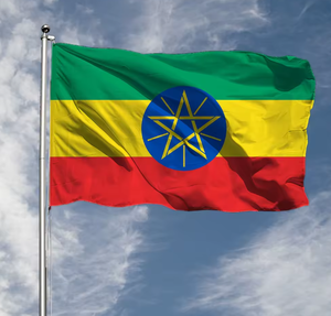 Wisezone personnalisé vente en gros éthiopie national imprimé 100% polyester drapeau plage drapeau éthiopien à vendre - Product Image 2