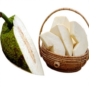 Poudre de fruit à pain (Artocarpus Altilis) – Farine de fruit légèrement sucrée, sans gluten, substitut de blé – Sacs de 1 kg, 5 kg, 25 kg - Product Image 1