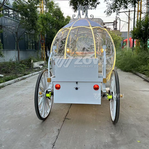 Carrito con Toldo Transparente Iluminado e Impermeable para Decoración de Escenas Románticas Nocturnas al Aire Libre - Product Image 2