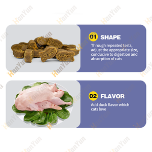 OEM/ODM Label pribadi mengunyah probiotik untuk kekebalan kucing dukungan pencernaan mendukung kualitas pencernaan suplemen perawatan kesehatan hewan peliharaan - Product Image 3