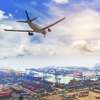 Service d'expédition DDP porte-à-porte par fret aérien et express de Chine Guangdong pour les entrepôts Amazon FBA aux États-Unis, en Australie et ailleurs