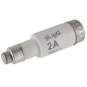 Fuse-Link D01 2A 400VAC Low Voltage Fuse Protection Fuse