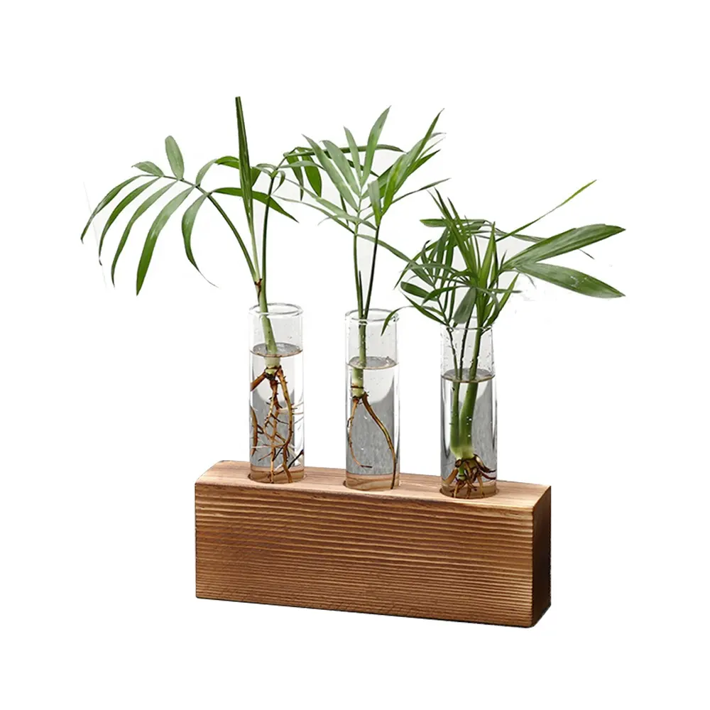 Glas Büro Tischplatte Blumenvase Hydro ponic Pflanzen behälter Home Decor Braun Massivholz regal Reagenzglas Mini Vasen