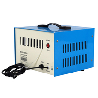 Stabilisateur de Tension Servo Monophasé Sur Mesure 1000 VA 220 V SVR Compact et Régulateur CA à Performance Stable