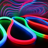 Prise UE Prise UK Prise US Flexible RVB LED Néon Flex Haute Tension LED Bande Neo Flex Éclairage 360 Degrés Rond D18mm 24V 120V 230V