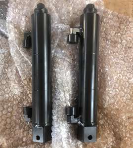 Cilindro Idraulico ad Alta Precisione e Lunga Durata, Direttamente dalla Fabbrica, Adatto per Strumenti Scientifici - Product Image 5