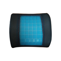 Coussin de soutien lombaire, Gel rafraîchissant en mousse à mémoire de forme