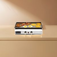 Offre promotionnelle : Four de cuisson et barbecue portable en acier chromé pour la pêche, le jardinage et les activités de plein air, avec réchaud à gaz propane pour le camping