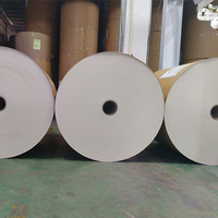 High Quality PE/PLA Coated Paperboard in Roll Wholesale Beverage Use Cup Paper for Coffee Tea Beer Other Beverages