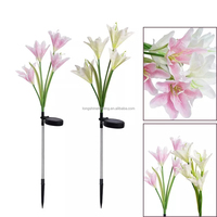 Lampes solaires à induction IP65 220V, lampes paysagères à basse tension pour la décoration de jardin