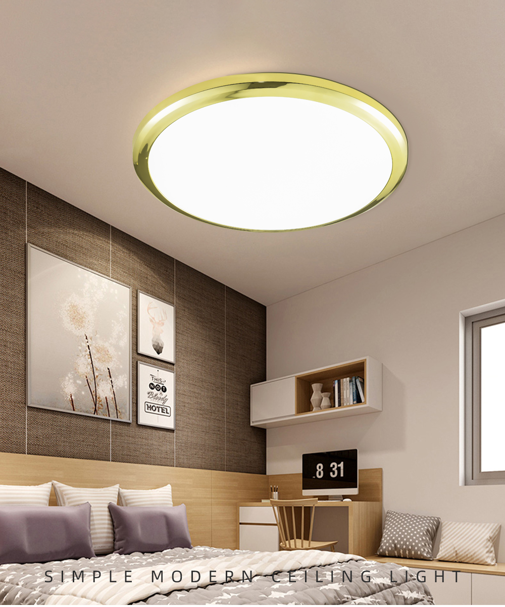 2021Popular Round Creative Led Ceiling Light  For North Europe