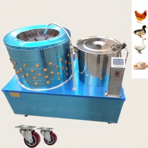 Machine Combinée Échauffeuse et Plumeuse pour Volailles (Poulet et Caille) – Système d'Échauffage et de Plumeage 110/220V, Capacité 1000 plumes/heure – Équipement d'Abattage - Product Image 3