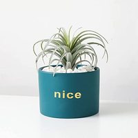 Pot de plante en céramique pour succulentes en dropshipping, 4,5 pouces, jardinières, petit récipient pour cactus, pour table, rebord de fenêtre, chevet, jardin
