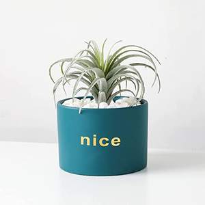 Pot de plante en céramique pour succulentes en dropshipping, 4,5 pouces, jardinières, petit récipient pour <span class=keywords><strong>cactus</strong></span>, pour table, rebord de fenêtre, chevet, jardin - Product Image 5