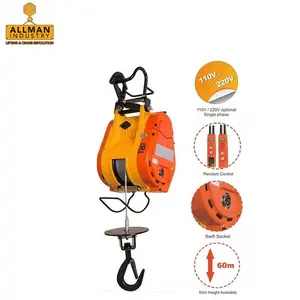 light weight 500Kg mini electric winch 220V with automatic brake