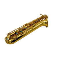 Professional Brass Head Baritone Saxophone - Gold Lacquered Body EB Model