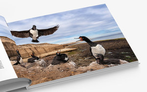 Tùy chỉnh bìa cứng Bàn cà phê cuốn sách phong cảnh cuốn Sách Ảnh Album ảnh in ấn - Product Image 5