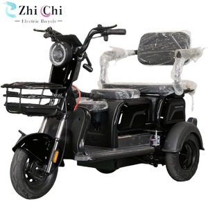 Triciclo Eléctrico Compacto de 1000W con Certificación CE, 48V, 100kg, 30km/h, Autonomía de 30-50km, Triciclo Abierto para Pasajeros - Product Image 3