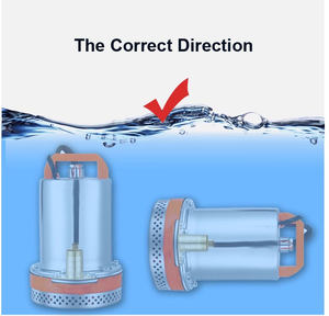 Bomba Sumergible <span class=keywords><strong>de</strong></span> Agua ZHELI <span class=keywords><strong>de</strong></span> 45w 48v CC, Bomba Sumergible <span class=keywords><strong>de</strong></span> Agua Limpia <span class=keywords><strong>para</strong></span> Pozos Abiertos <span class=keywords><strong>de</strong></span> <span class=keywords><strong>2</strong></span> <span class=keywords><strong>Pulgadas</strong></span> y 24v, <span class=keywords><strong>Manguera</strong></span> <span class=keywords><strong>de</strong></span> Jardín OEM - Product Image 2
